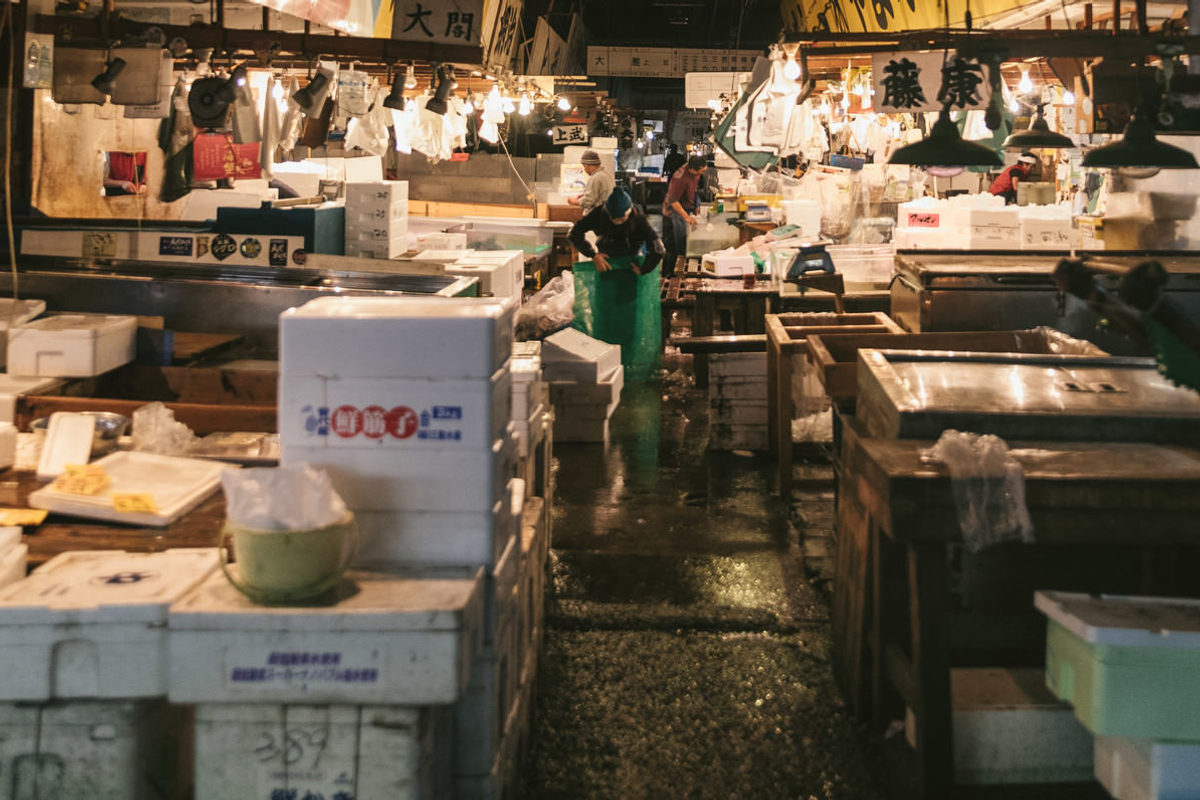 Fish market stall stacked with styrofoam boxes