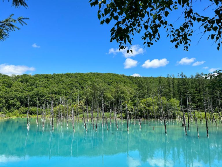 1-Day Fascinating Asahidake & Biei Discovery Tour