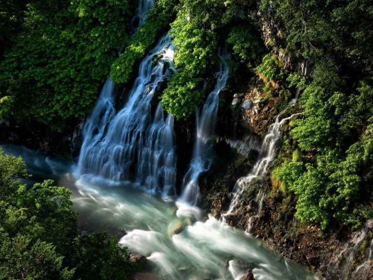 1-Day Fascinating Asahidake & Biei Discovery Tour