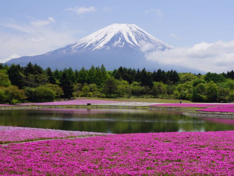 Central Japan Express 7 Days