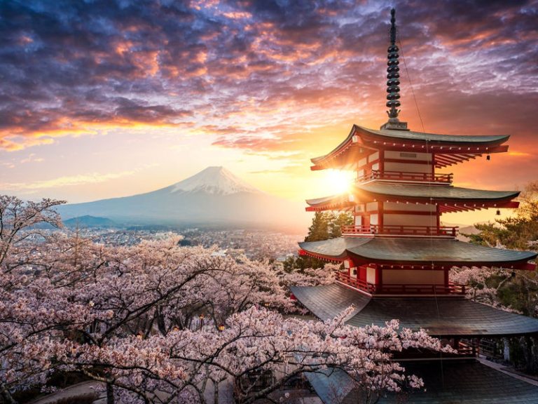 Contrasts of Japan 9 Days