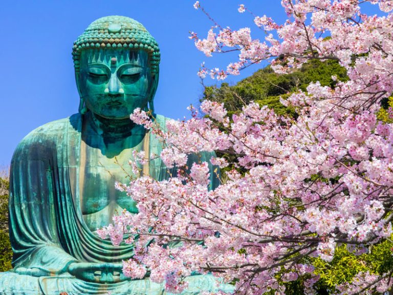 Essential Japan and Hakone 8 Days
