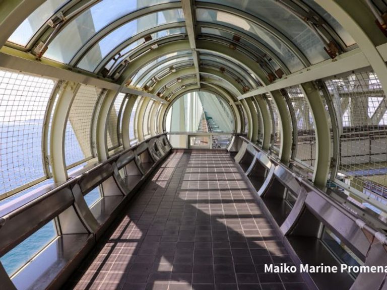World Heritage Himeji Castle & Akashi Kaikyo Bridge Walking Tour