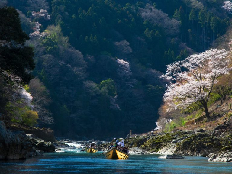 Hozugawa River Boat Ride (Charter Boat)
