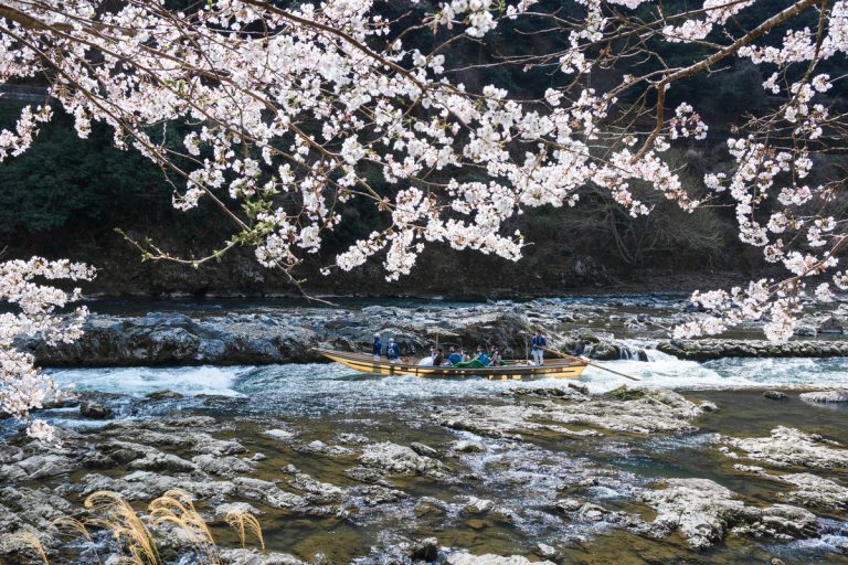 Hozugawa River Boat Ride (Charter Boat)