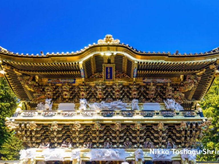 14-Day Japan Combination Package