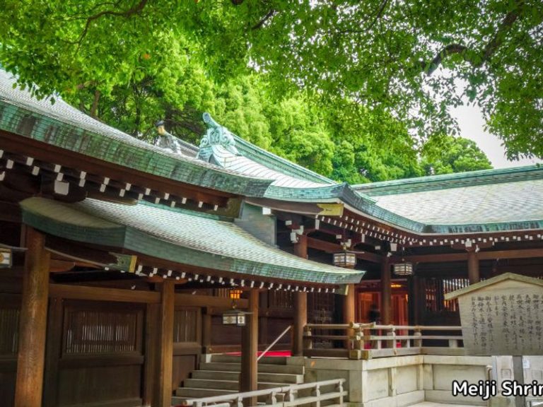 Japanese Scenes 17 Days