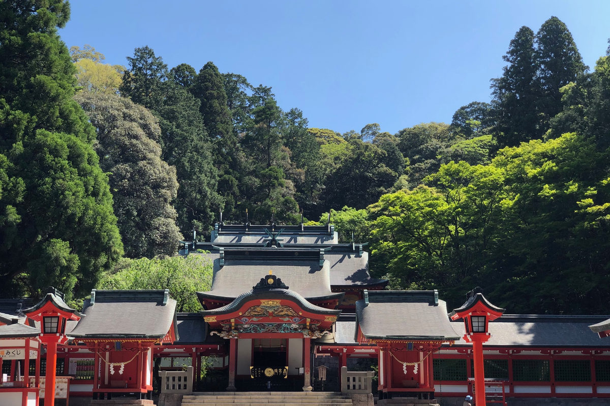 1-Day Kirishima Shrine & Ebino Kogen Trekking (Private)