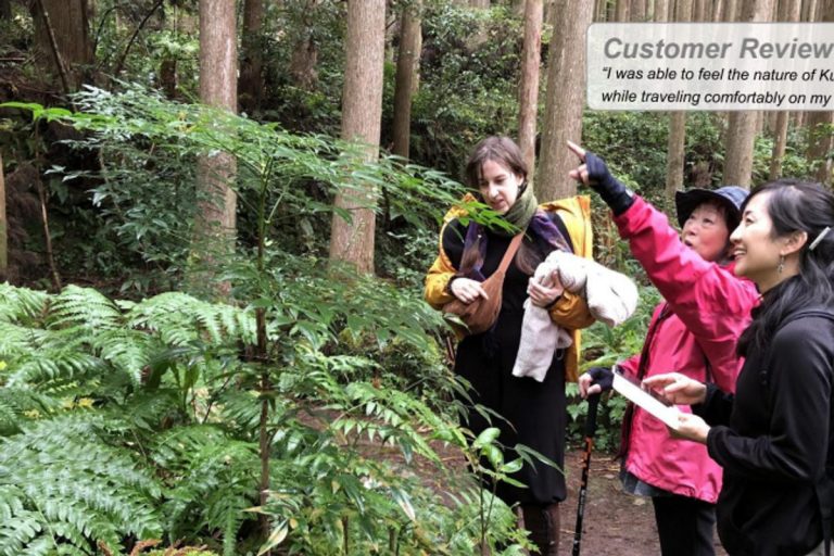 E-bike Cycling in Koguchi and Walking the Kumano Kodo