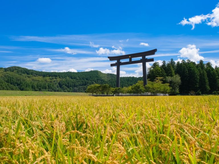 Kumano Kodo Iseji Self-Guided Tour (6 Days)