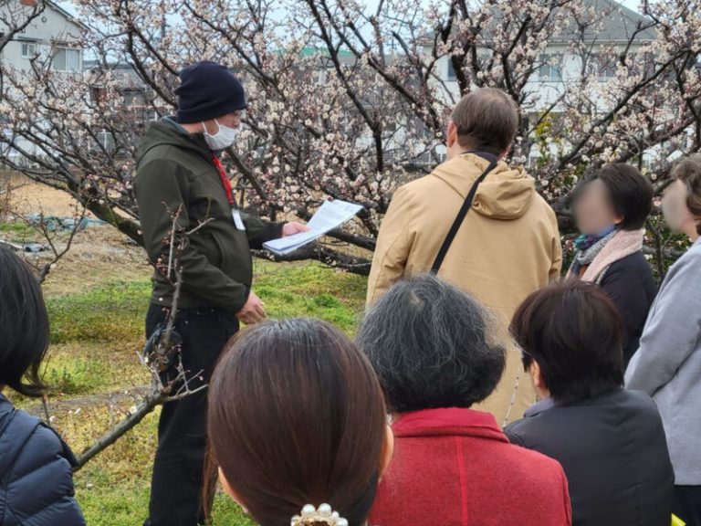 Autumn in Kyoto: A Curated Private Tea & Sake Experience