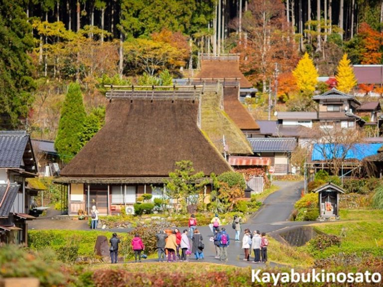 3-Day Trip to Kyoto’s Hidden Gem Miyama & Nara’s Medicine Town Uda