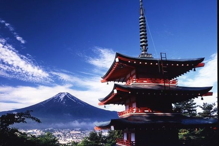 20 cherry blossom spots by prefecture: how to make the shifting bloom work for you
