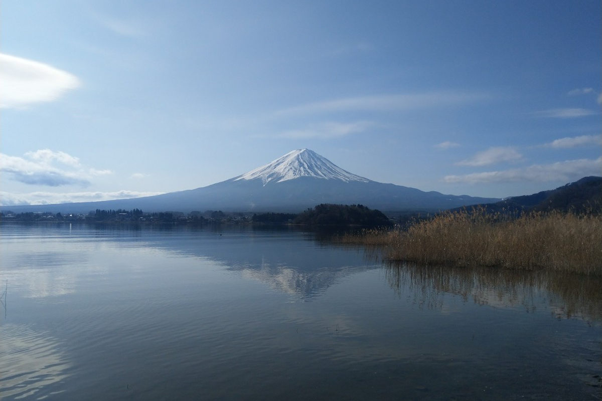 Mt. Fuji Day Tour with Lake Kawaguchiko