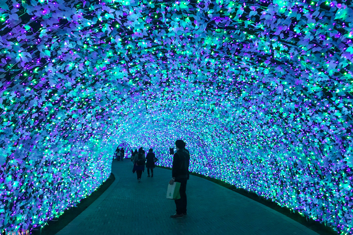 1-Day Round Trip to Nagoya: Hot Spring, Shopping and Nabana no Sato Lights