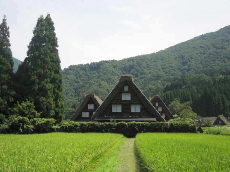 Shirakawa-go and Gokayama World Heritage Village Tour