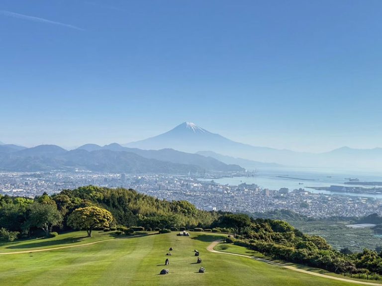 Taste of Zen: The Shizuoka Tea Tour 4 Days