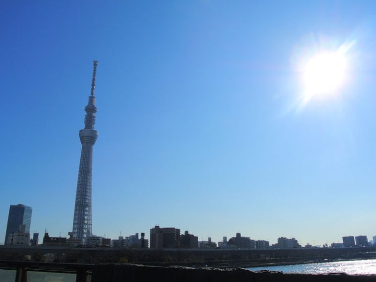 1-Day Tokyo Bus Tour